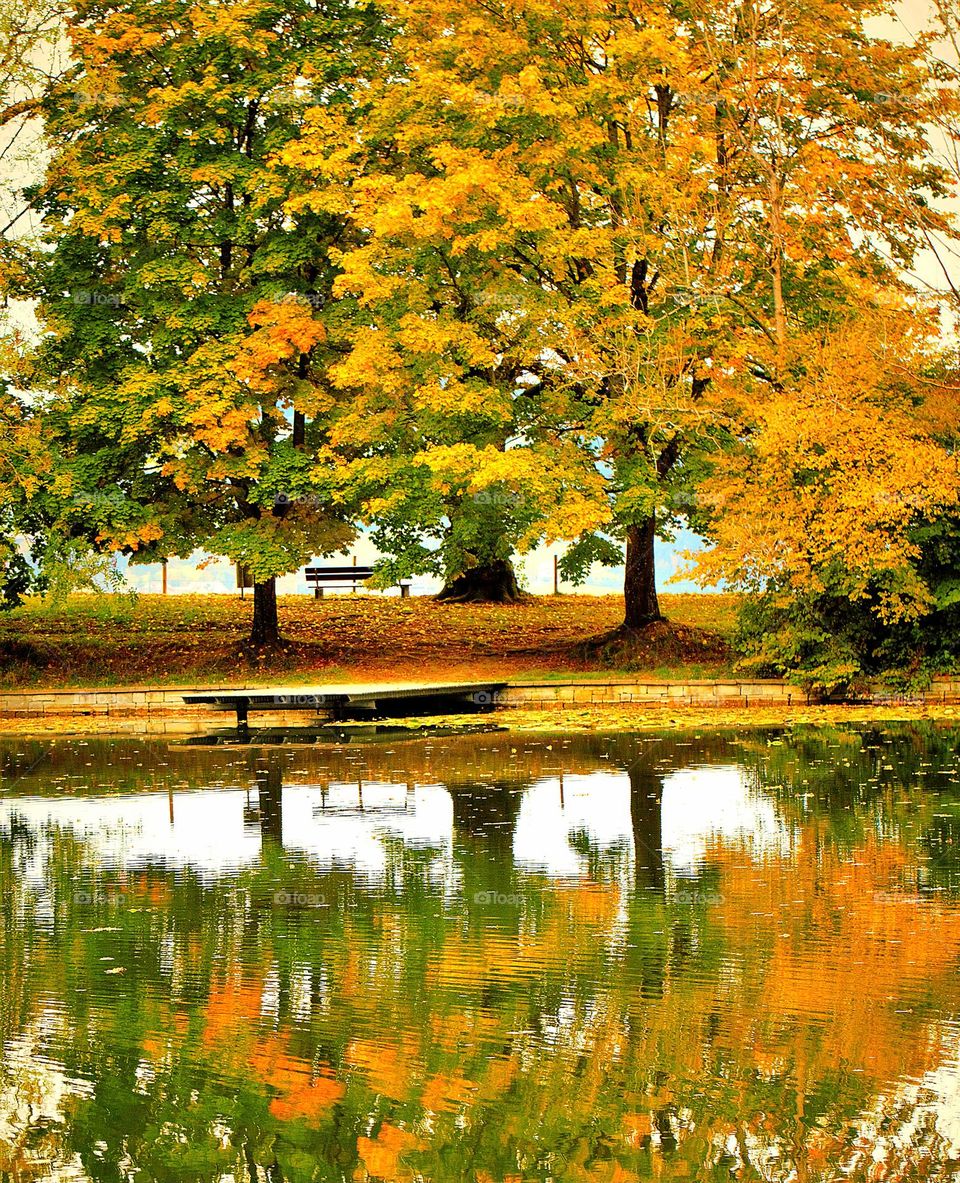 Bäume im Herbst spiegeln sich im Wasser
