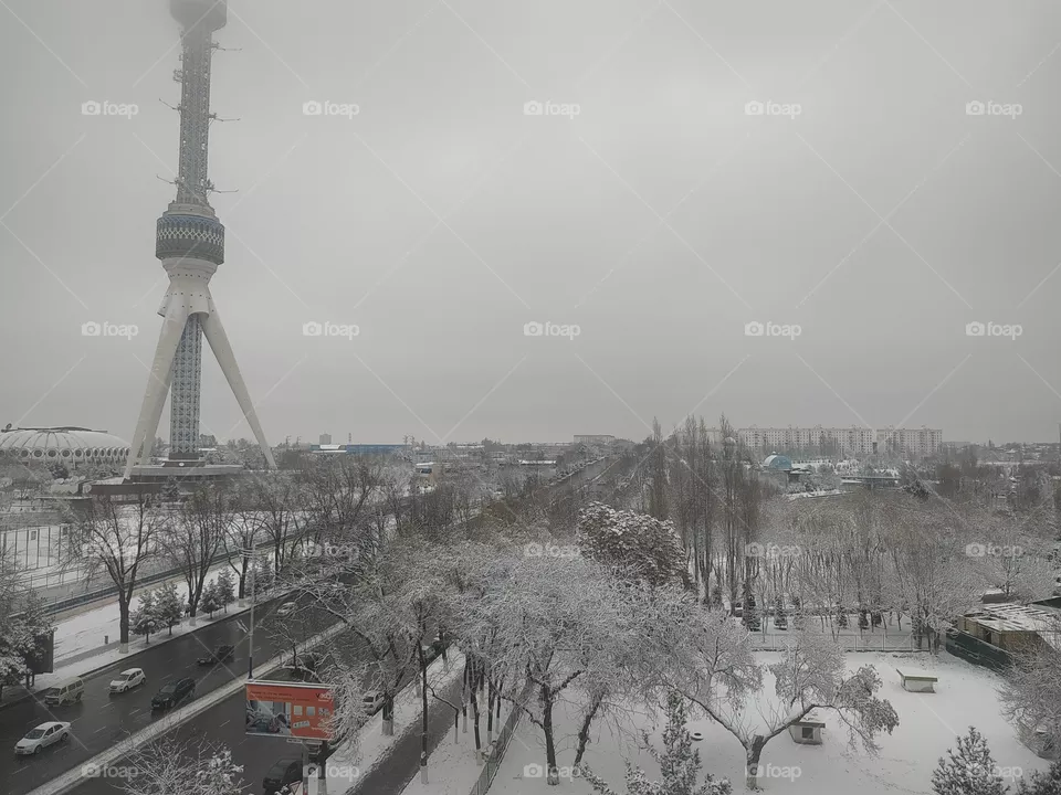 snow in the capital