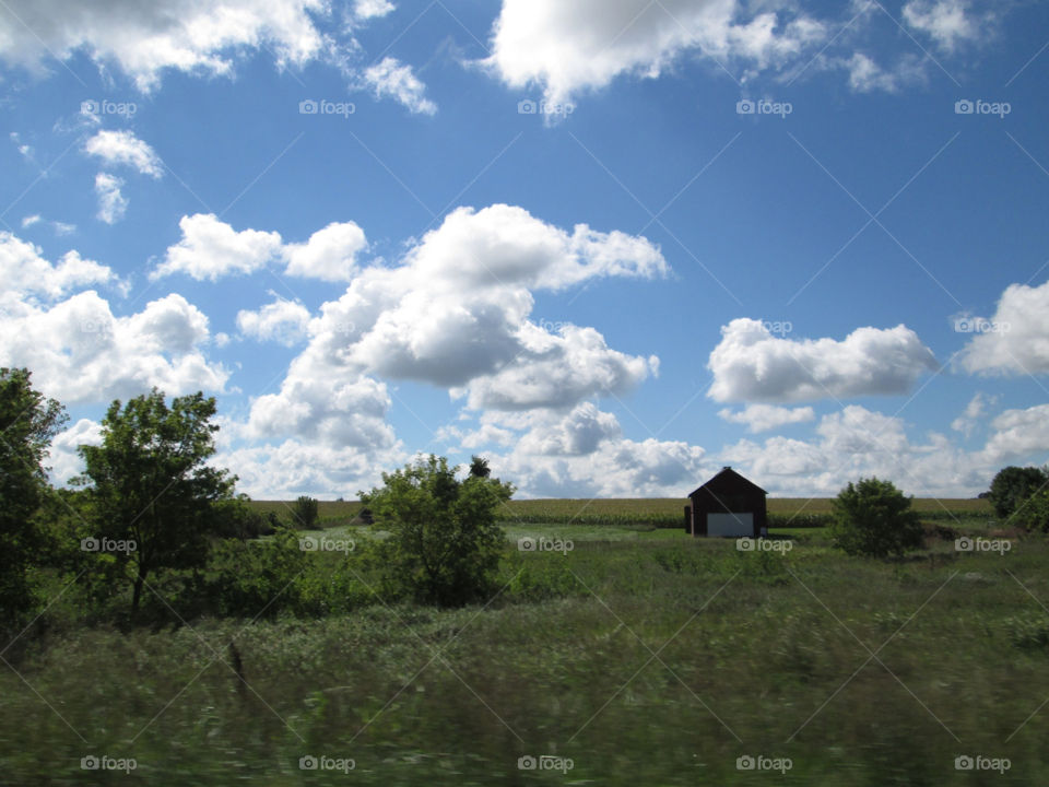 sky italy field blue by ashley77