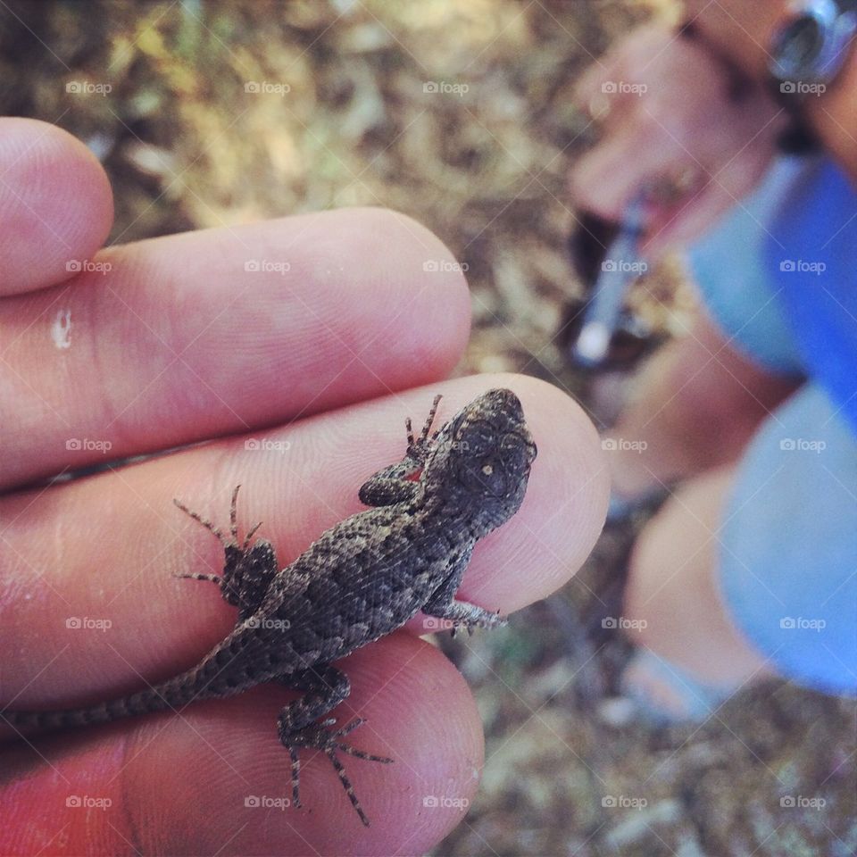 A helping hand, a little friend. 

Found him while camping. 