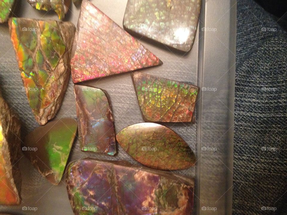 Alberta Ammolite . Found only in southern Alberta, Canada