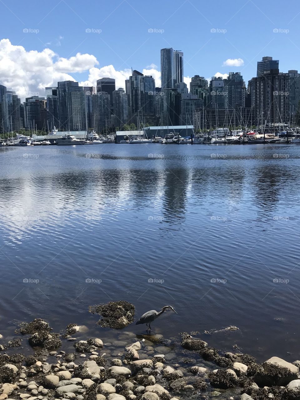 Downtown, Vancouver 
