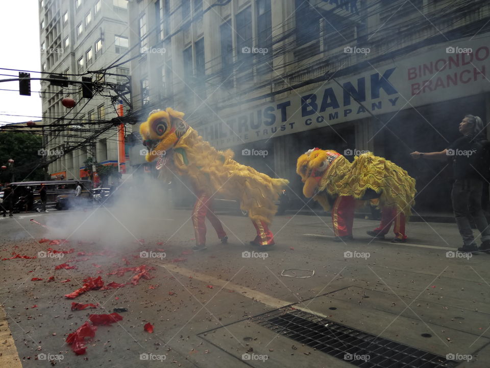 CHINESE NEW YEAR DRAGONS