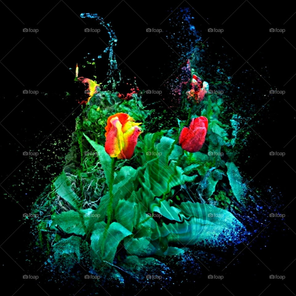 Tulips, digital art expression.
