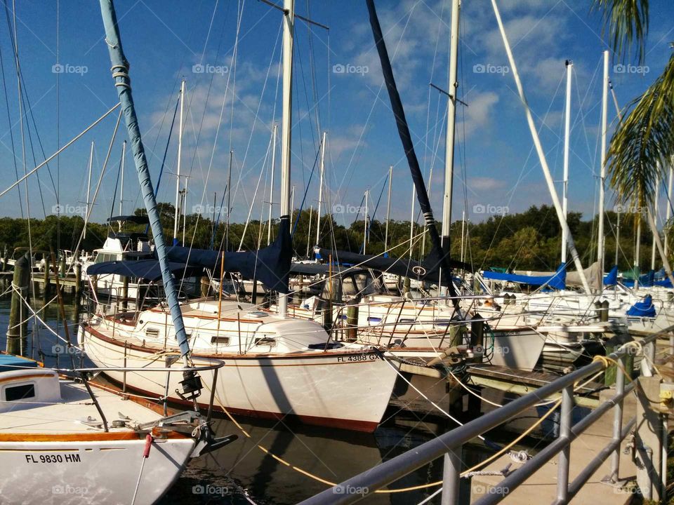 Sailboat, Yacht, Sea, Water, Watercraft