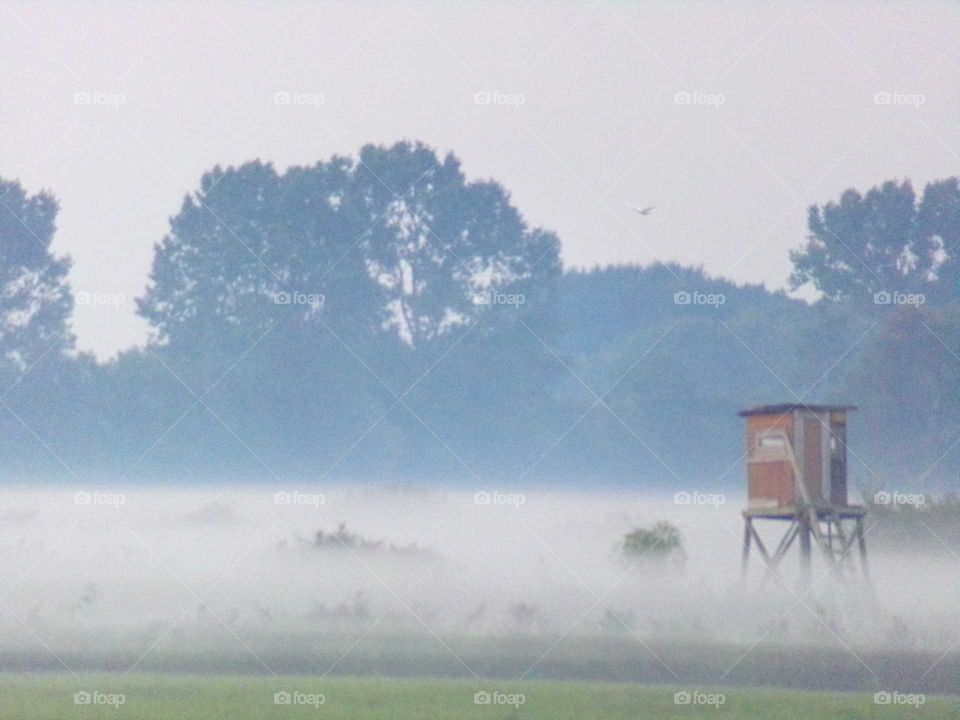 Bodennebel am frühen Morgen