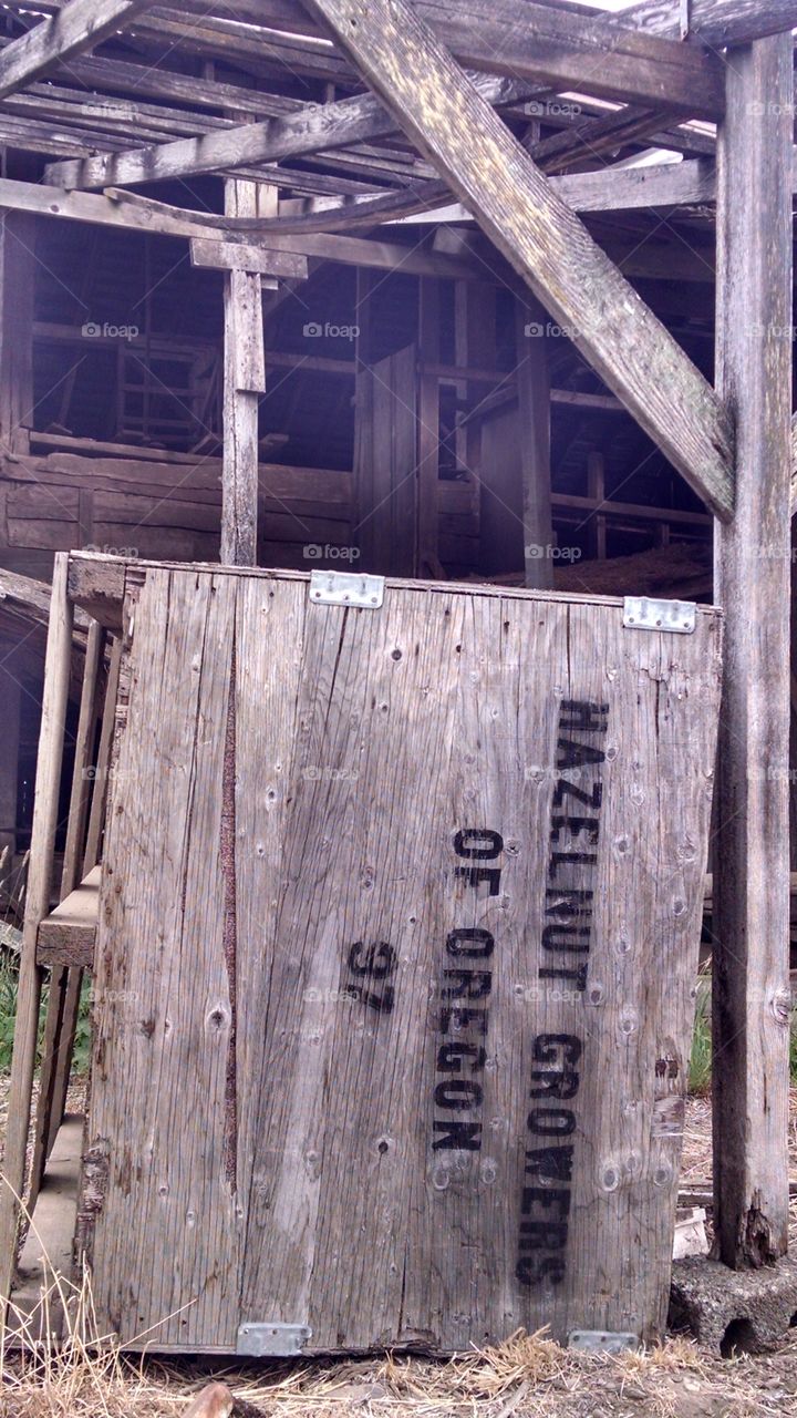 went for a walk through the orchard and found this abandoned barn.