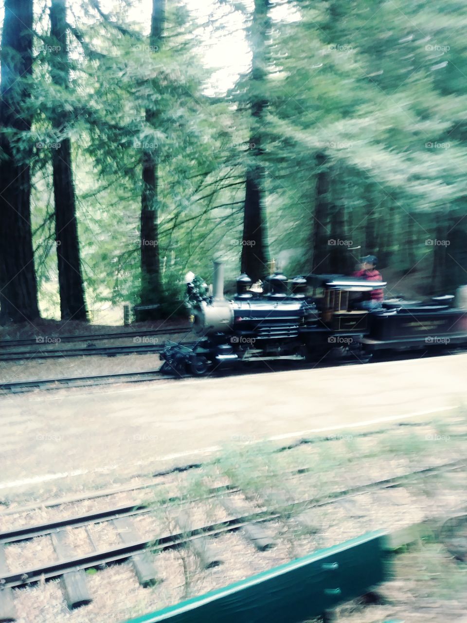 Redwood Steamer