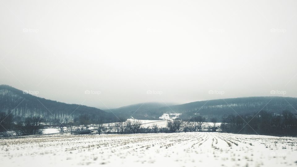 New York winter landscape