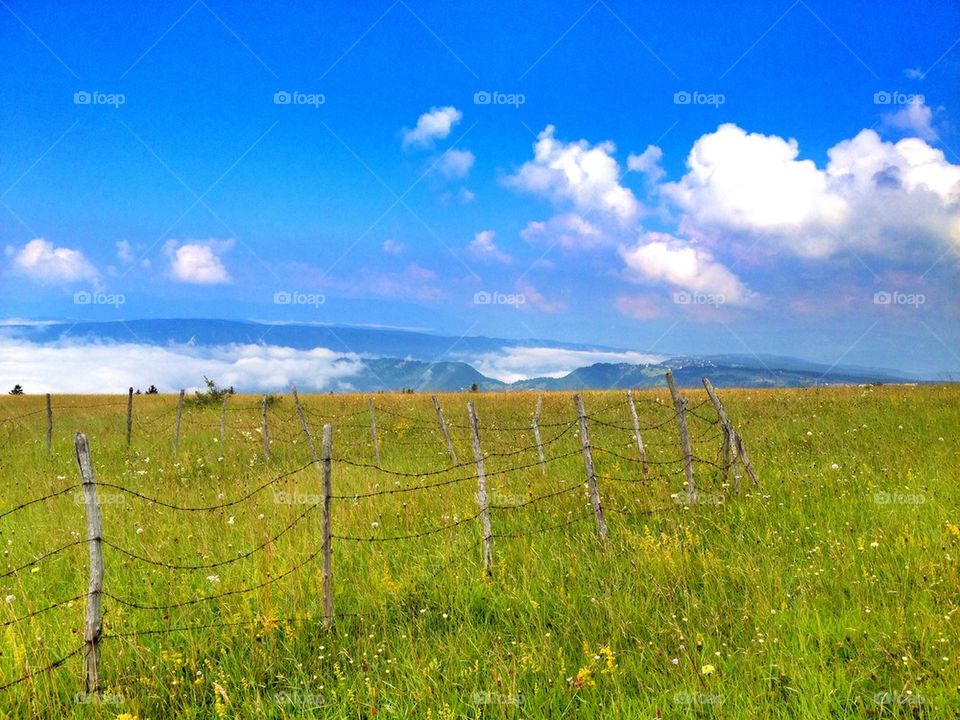 old fence