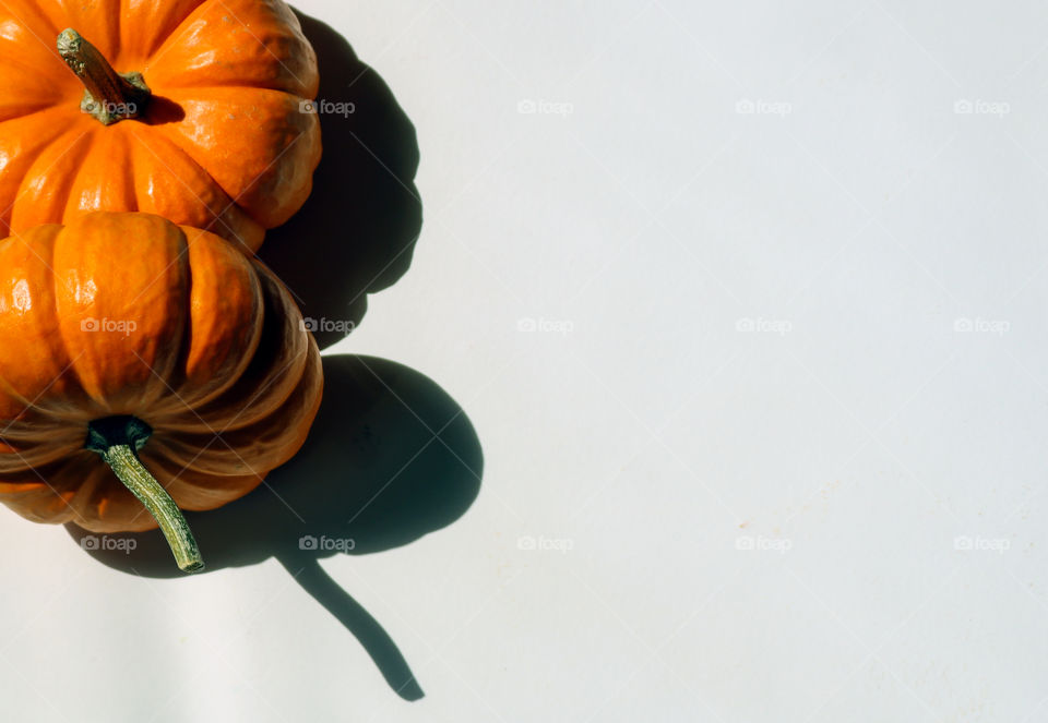 Pumpkins Shadows