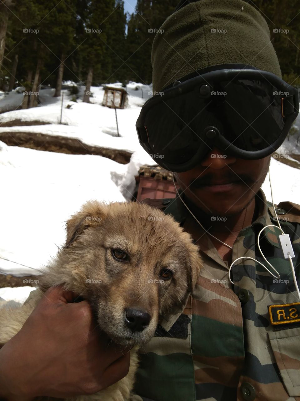 uninterested  dog selfie