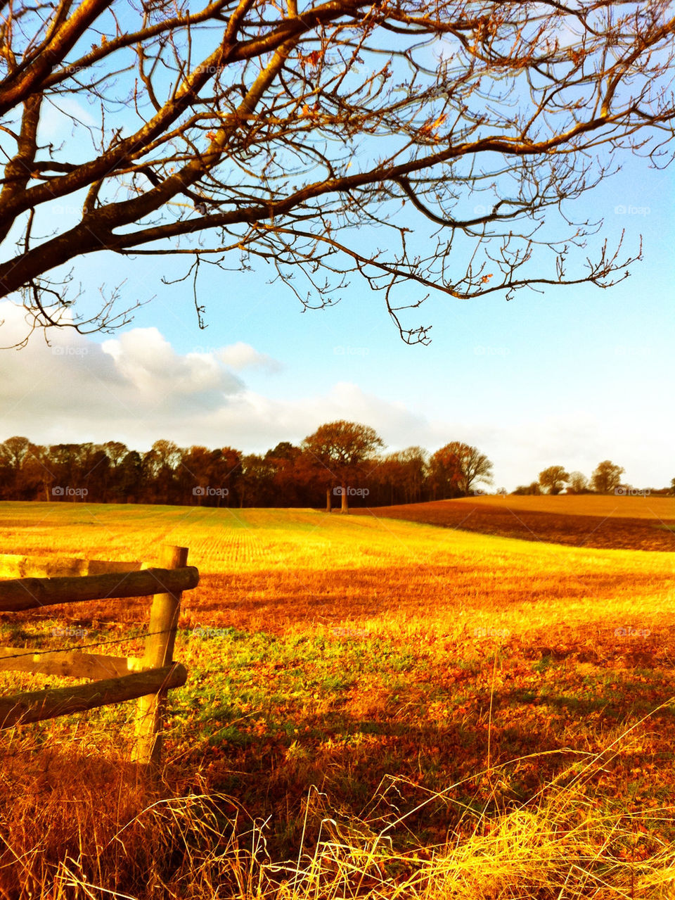 meadow autumn countryside british by mutkin