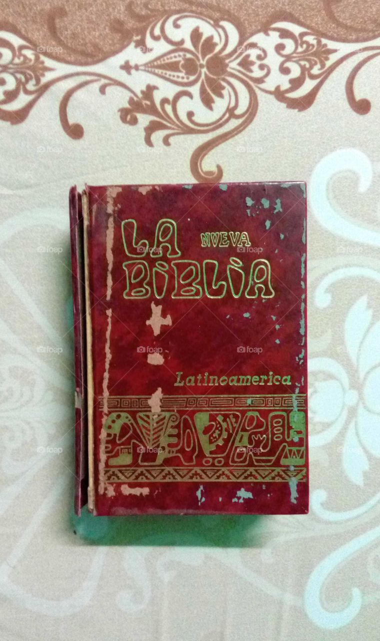 Old wasted Spanish Bible. Latin America Bible, called "La Nueva Biblia" too.