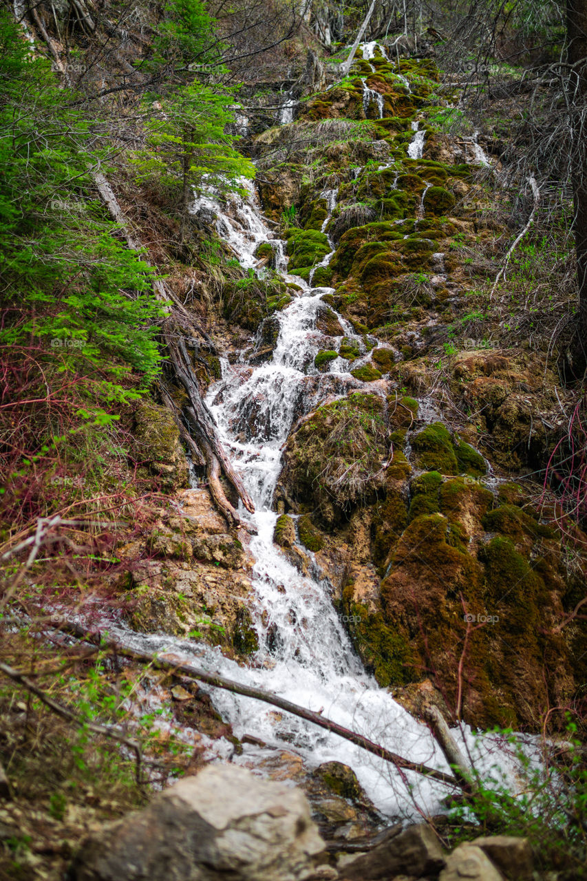 Flowing water throughout the Colorado mountains. 