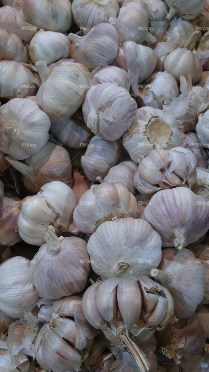 garlic