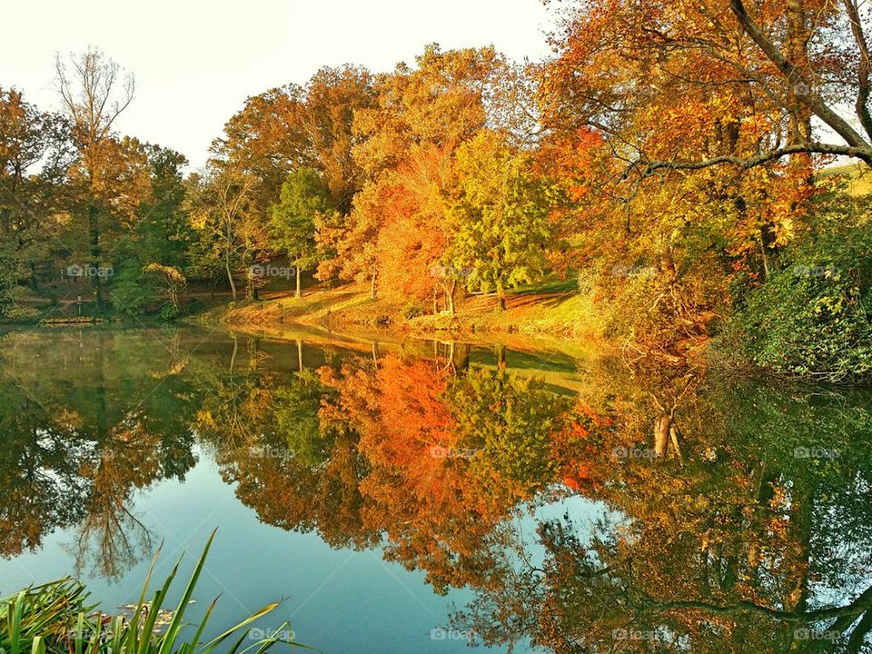 Autumn Reflections