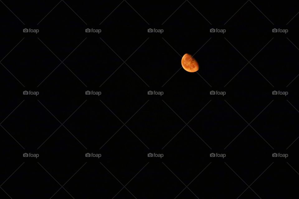 Beautiful half moon at night