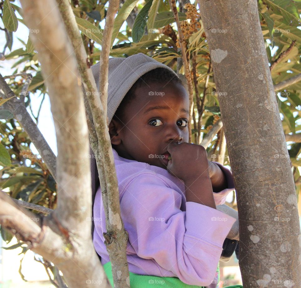 Portrait of a young boy sitting in tree