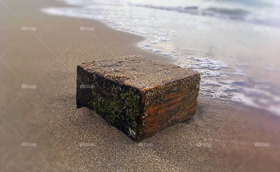 Wood block drifted ashore