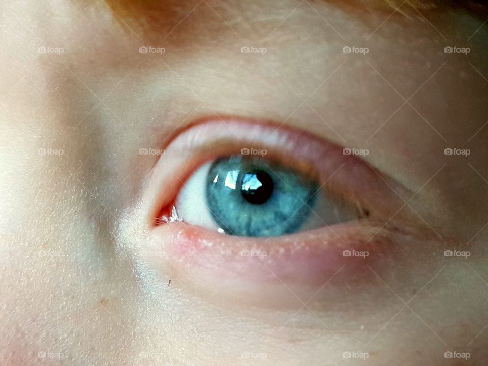 Macro shot of blue eye