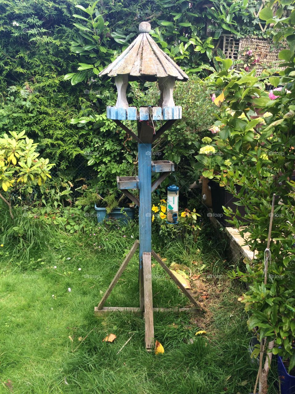 Wooden bird house feeder
