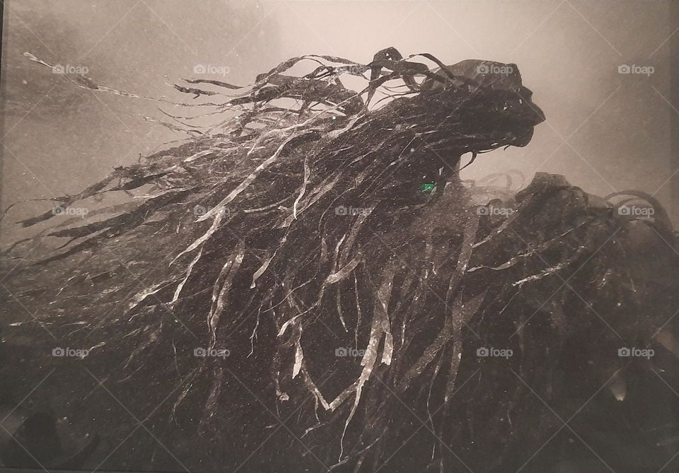 I've come to haunt you! (B&W)