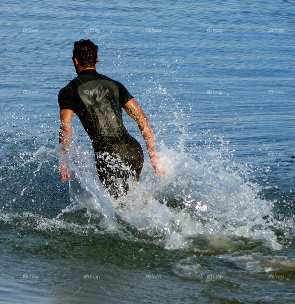 Plunging into the bay