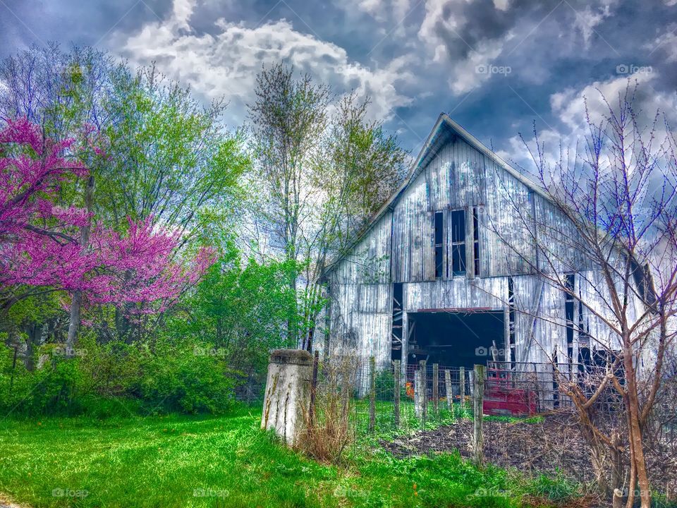 Spring on the farm