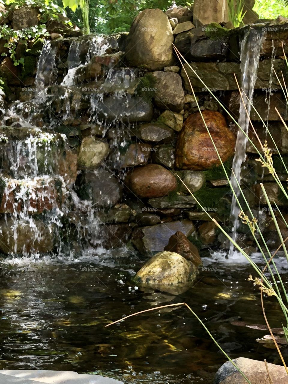 Backyard Waterfall 3