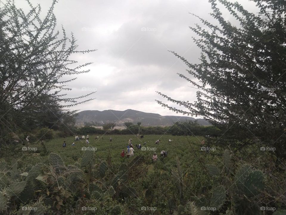 Portrait in a great pose, professional and exclusive for fun
صورة في وضعية رائعة محترفة وحصرية للمتعه