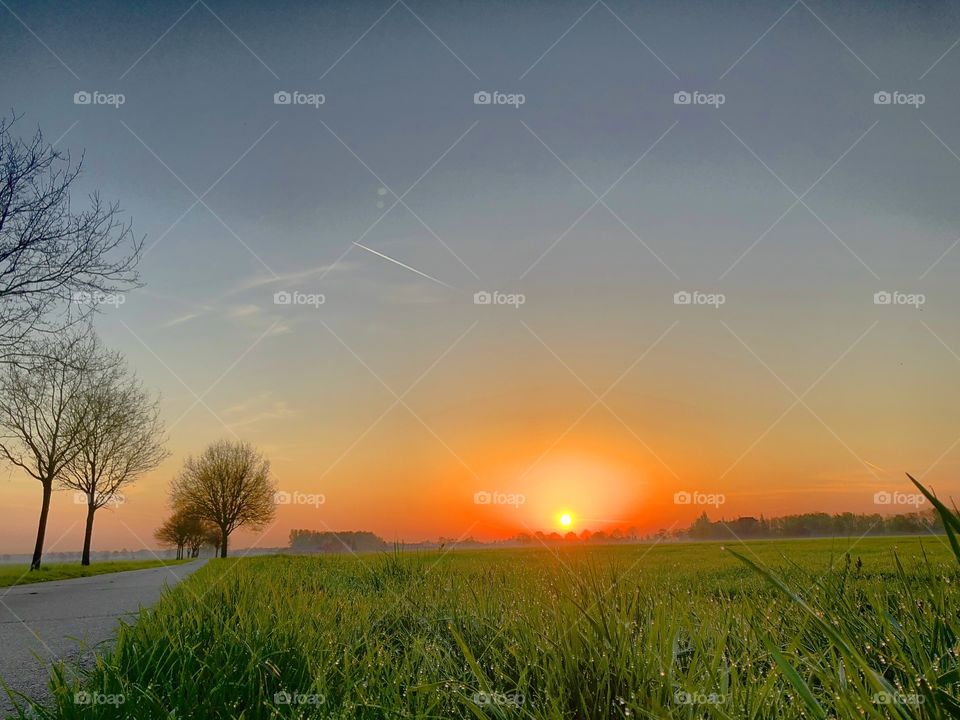 Idyllic Countryside sunrise 