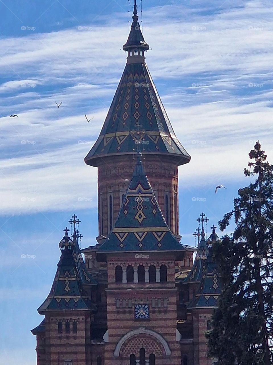 the metropolitan church from Timisoara