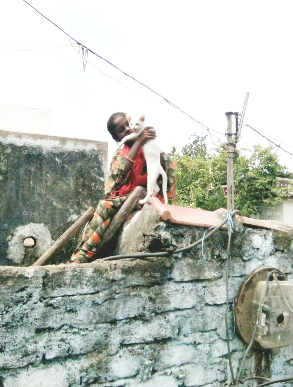 Photographs of a poor girl,a photo with a girl's cat,a photo of a white cat,a photo of a kitten,a great photo of a girl and a cat,a memorable photo of a human being and an animal child,a photo of an animal and human friendship,a photo  Great photo