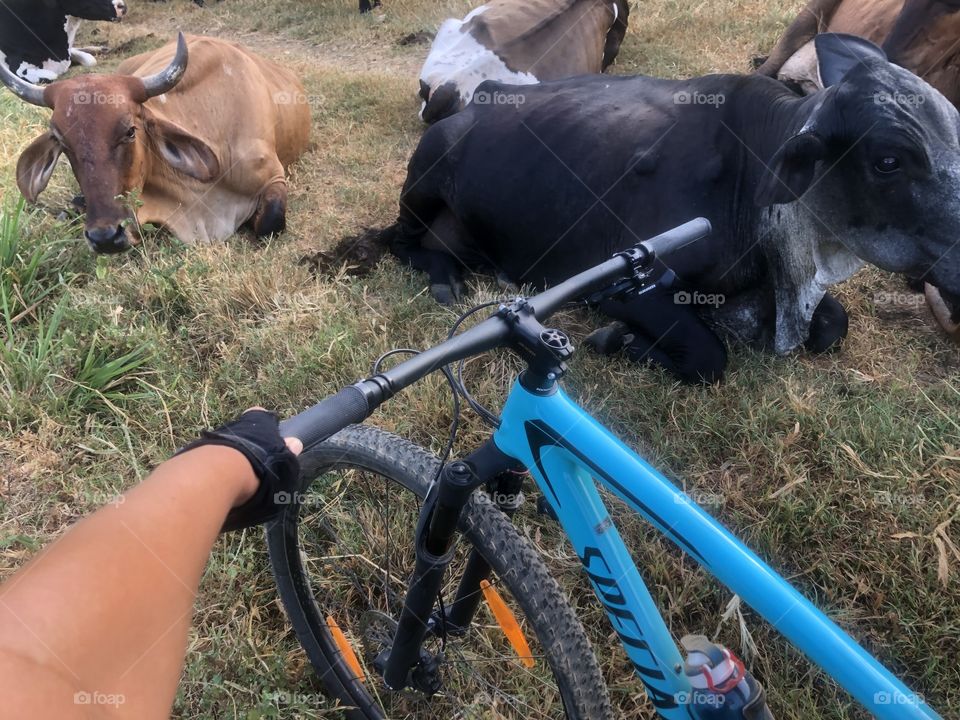 Emoção na bike.