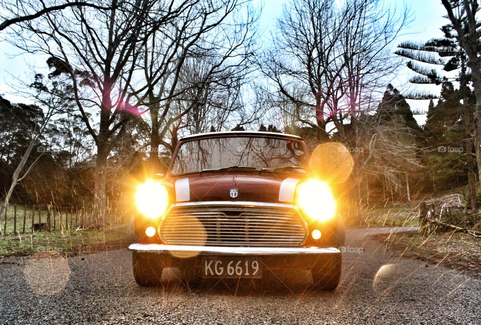 Morris the Austin Mini