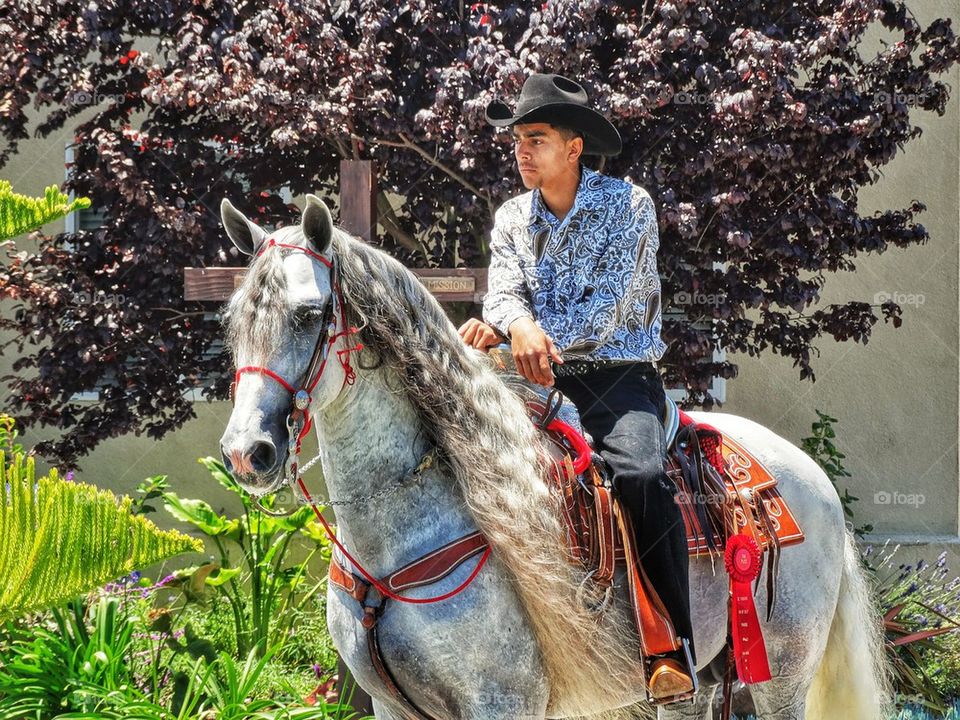 Cowboy With Showhorse