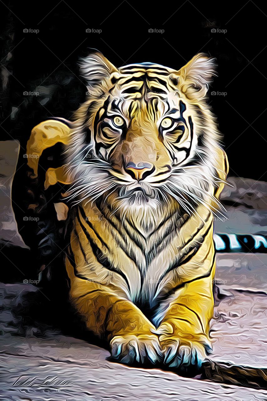 Tiger