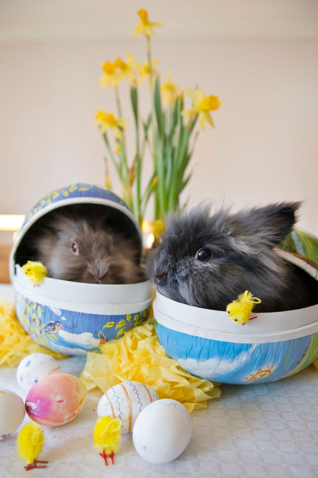 Easter