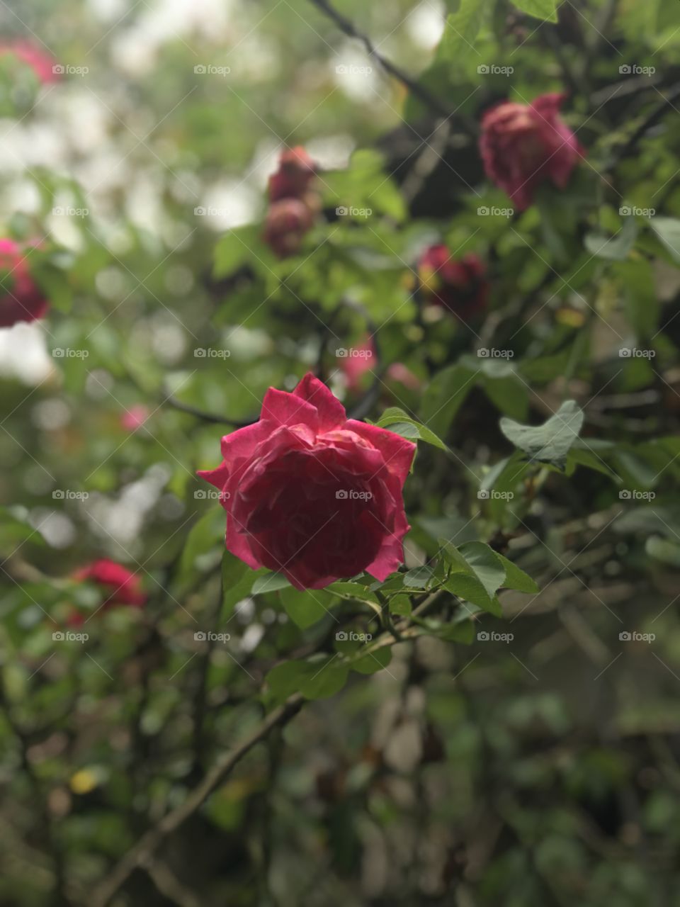 Beautiful day in Rio 