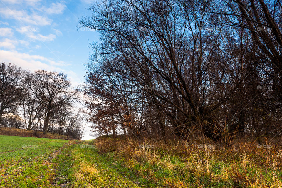 Leszno, Poland