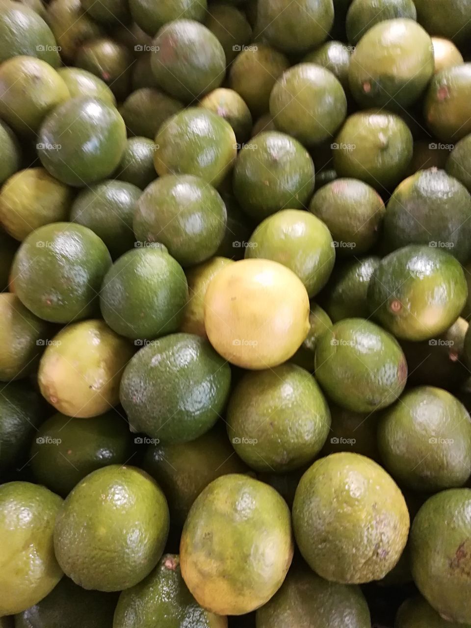 Limón