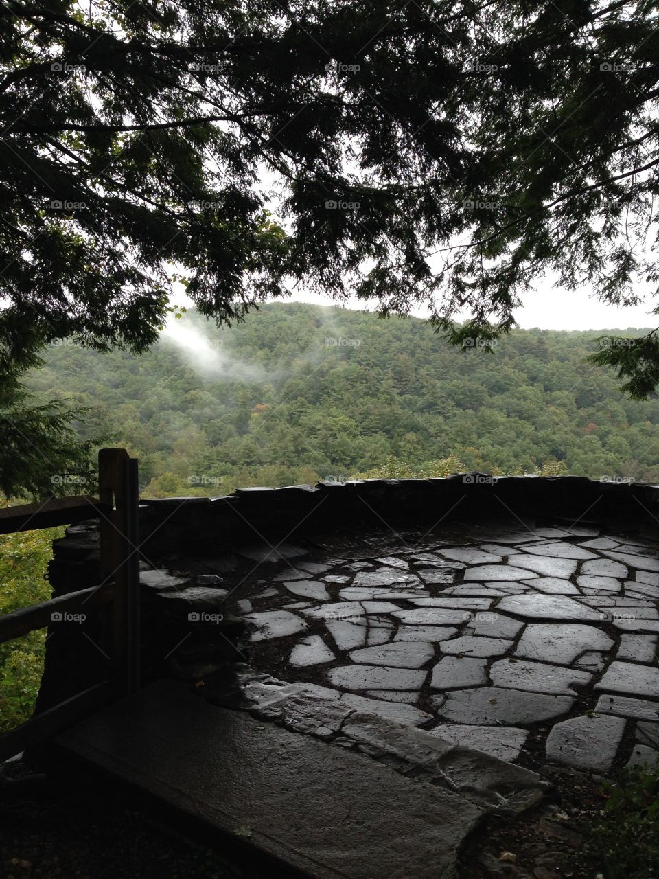 Mohican State Forest Overlook