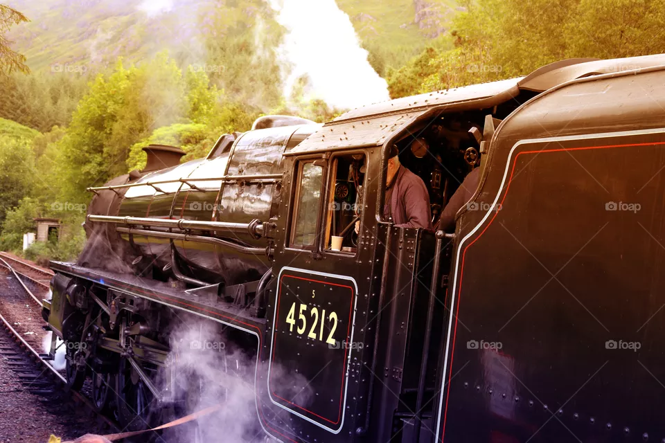 SteAm