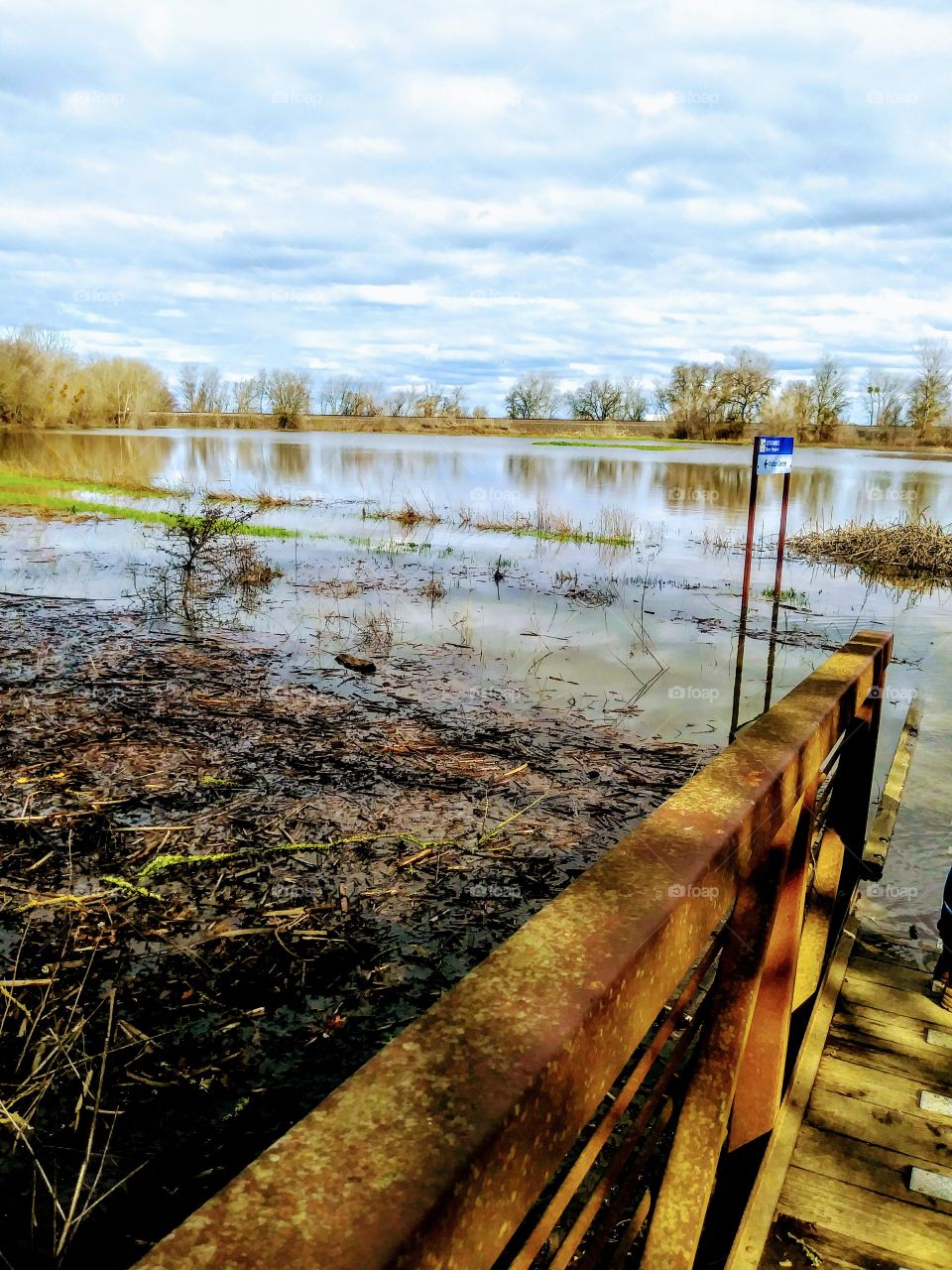 flooded northern californian wetlands