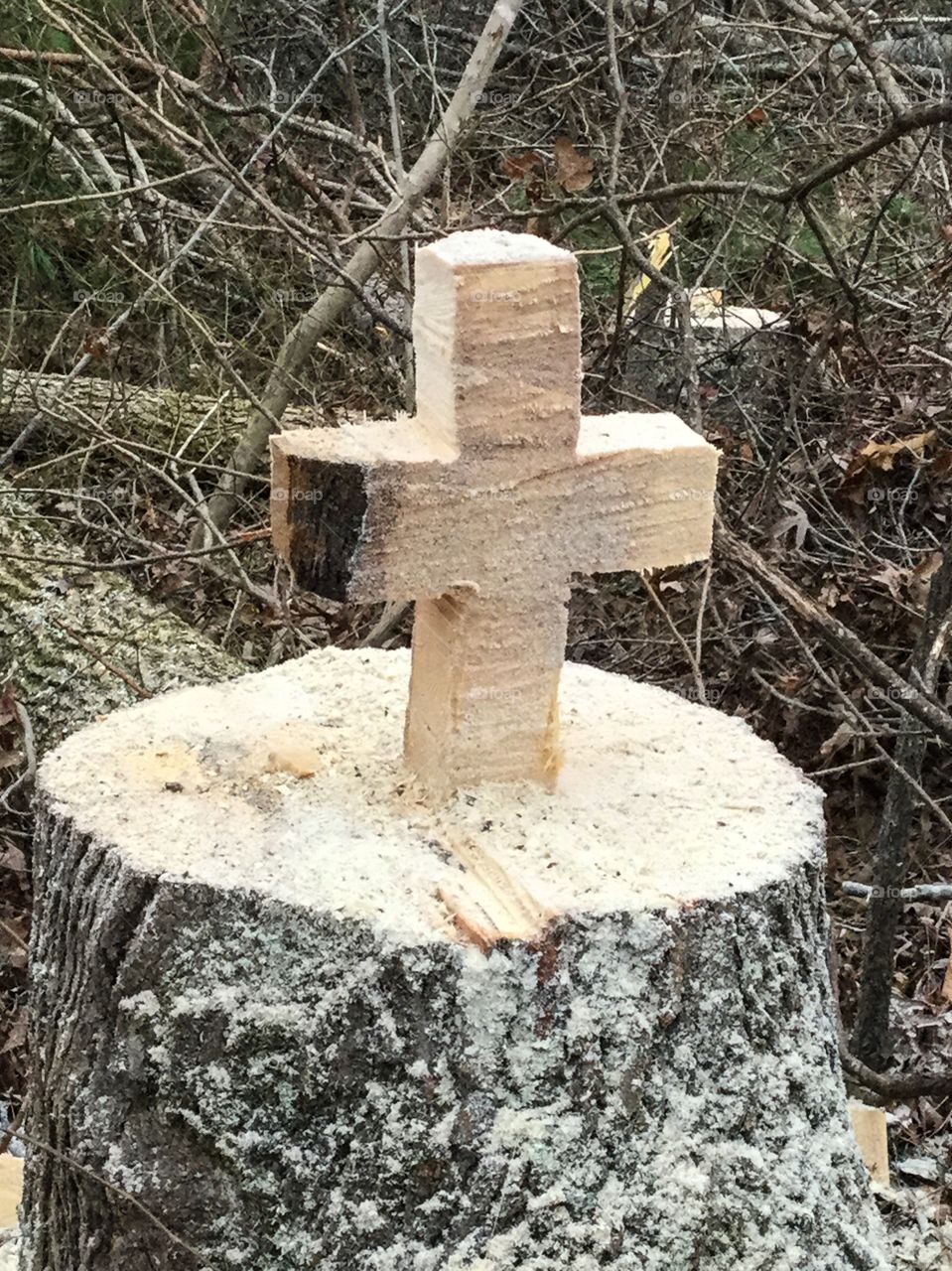 Tree base cross