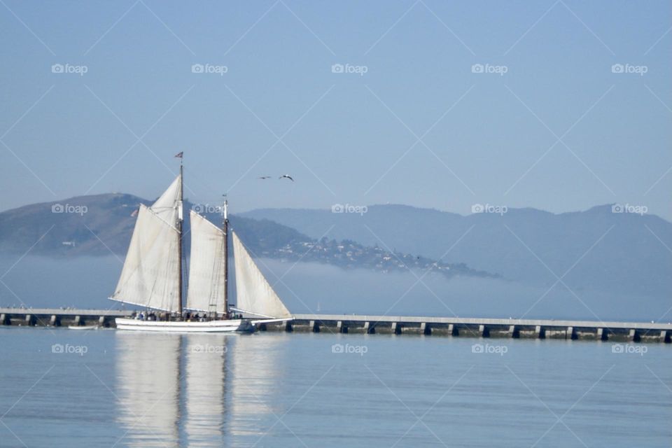 Sailboat on San Francisco Bay