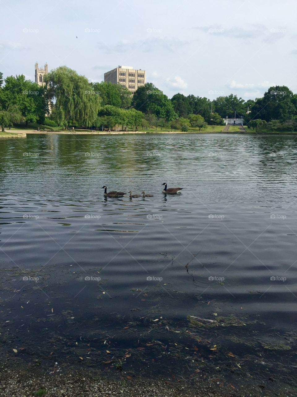 Water, Lake, River, No Person, Reflection