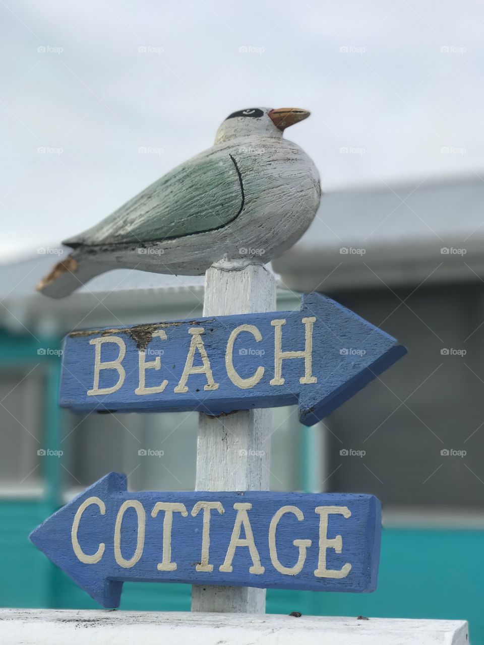 Timber beach cottage sign with seagull