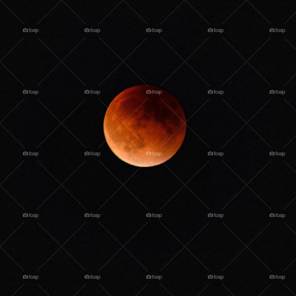A photo of the blood moon 